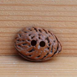 Natural half peach - button