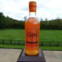 Shimmering Juicy Orange Gin 50cl