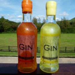Shimmering Duo - Lemon Drizzle and Juicy Orange Gin 50cls