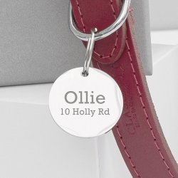 Personalised Red Leather Dog Collar With Tag