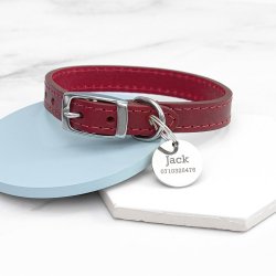 Personalised Red Leather Dog Collar With Tag