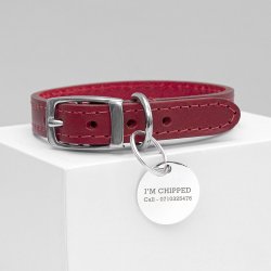 Personalised Red Leather Dog Collar With Tag