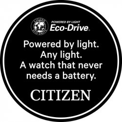 Mens Citizen Eco-Drive Chronograph Strap Watch