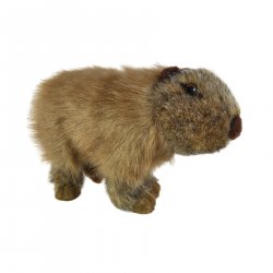 Soft Toy Capybara by Living Nature (20cm) AN733
