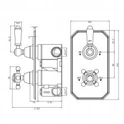 Harrogate Twin Concealed Valve with Diverter