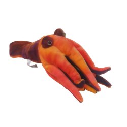 Soft Toy Squid by Hansa (35 cm) 2965