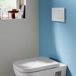 Geberit Sigma 30 Dual Flush Plate - Matt White & White