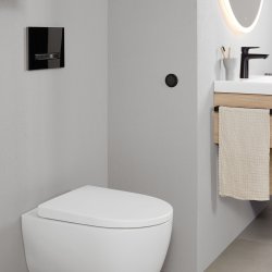 Geberit Sigma 50 Black & Brushed Black Chrome Dual Flush Plate