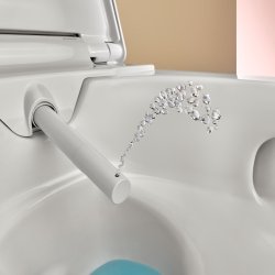 Geberit Aquaclean Alba Rimless Wall Hung Shower Toilet