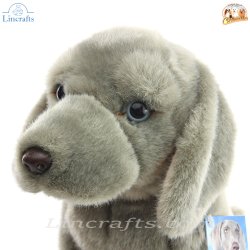 Soft Toy Weimaraner Dog by Faithful Friends (25cm)H FWE03