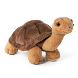 Soft Toy Tortoise by Living Nature (20cm) AN726