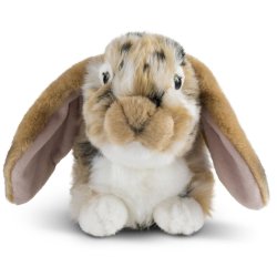 Soft Toy Lop Ear Rabbit by Living Nature (25cm) AN316b