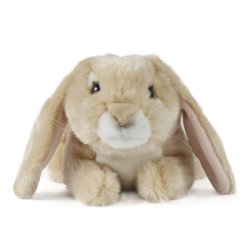 Soft Toy Lop Ear Rabbit by Living Nature (25cm) AN40