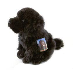 Soft Toy Newfoundland Puppy Dog by Faithful Friends (25cm)H FNE03