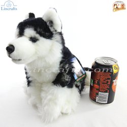 Soft Toy Siberian Husky Dog by Faithful Friends (22cm)H FSIB03