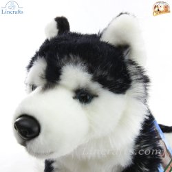 Soft Toy Siberian Husky Dog by Faithful Friends (22cm)H FSIB03