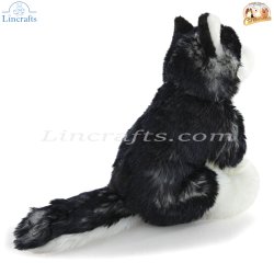 Soft Toy Siberian Husky Dog by Faithful Friends (22cm)H FSIB03