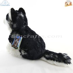 Soft Toy Siberian Husky Dog by Faithful Friends (22cm)H FSIB03