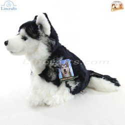 Soft Toy Siberian Husky Dog by Faithful Friends (22cm)H FSIB03