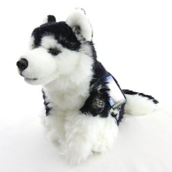 Soft Toy Siberian Husky Dog by Faithful Friends (22cm)H FSIB03