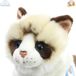 Soft Toy Plush Ragdoll Cat by Faithful Friends (25cm)H FRAG03