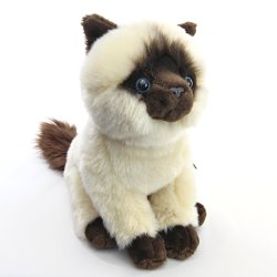 Soft Toy Plush Siamese Cat by Faithful Friends (25cm)H FSIA03