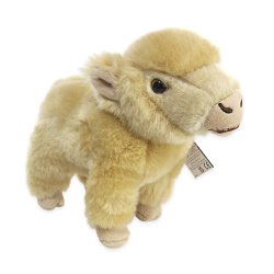 Plush Soft Toy Highland Calf, Isla, by Faithful Friends (17cm)H FHC25