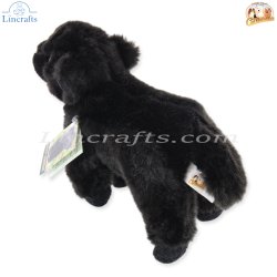 Plush Soft Toy Highland Calf, Logan, by Faithful Friends (17cm)H FHC26