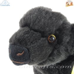 Plush Soft Toy Highland Calf, Logan, by Faithful Friends (17cm)H FHC26