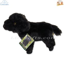 Plush Soft Toy Highland Calf, Logan, by Faithful Friends (17cm)H FHC26