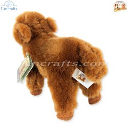 Plush Soft Toy Highland Calf, Harris, by Faithful Friends (17cm)H FHC27
