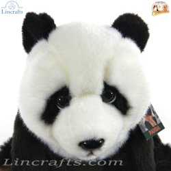Plush Soft Toy Panda by Faithful Friends (23cm)H PAN03
