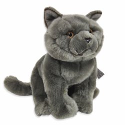 Plush Soft Toy British Blue Cat by Faithful Friends (25cm)H FBBC03