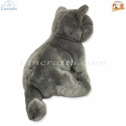 Plush Soft Toy British Blue Cat by Faithful Friends (25cm)H FBBC03