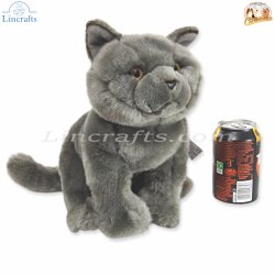 Plush Soft Toy British Blue Cat by Faithful Friends (25cm)H FBBC03