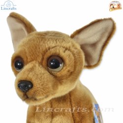 Plush Soft Toy Chihuahua Dog by Faithful Friends (23cm)H FCH03