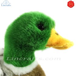 Plush Soft Toy Mallard Male Duck by Teddy Hermann (24 cm) 93131