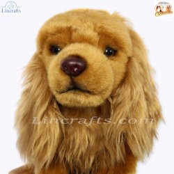 Soft Toy King Charles Cavalier Spaniel, Ruby, by Faithful Friends (23cm)H FRCAV03