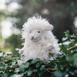 Beryl Sheep Character - Soft Plush Toy