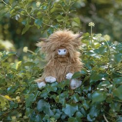 Highland Cow Character - Soft Plush Toy