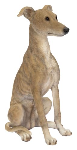 Vivid Arts Whippet Dog - Garden Ornament 21cm - Indoor or Outdoor