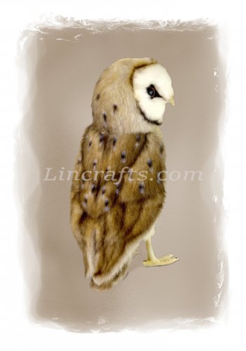 Greeting Card featuring Hansa Soft Toy Barn Owl. Created by LDA. C2