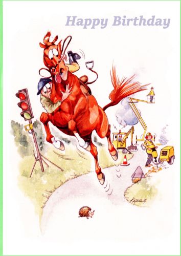 Birthday Card - Horse Spook - Only a Hedgehog! - Funny Gift Envy