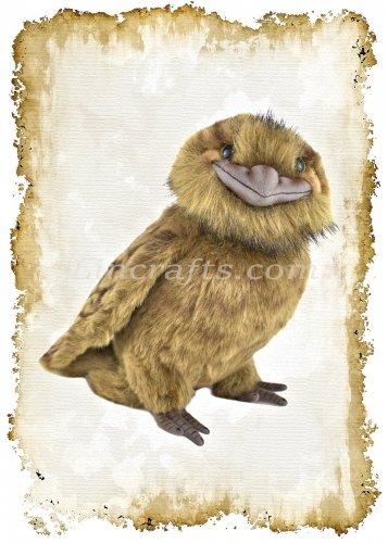 Greeting Card featuring Hansa Soft Toy Frogmouth. Created by LDA. C12