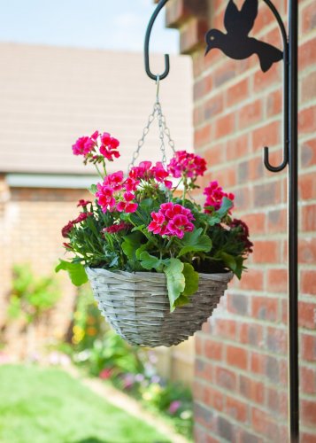 Smart Garden Sable Willow Hanging Basket 14?