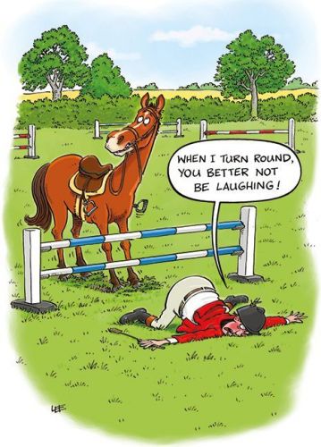 Birthday Card - Horse Rider Show Jumping - Funny - Country Cards