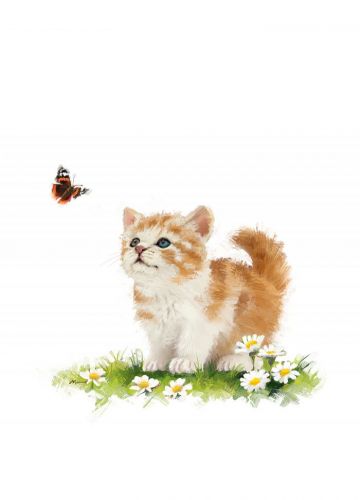 Greetings Card - Kitten & Butterfly - Country Cards 