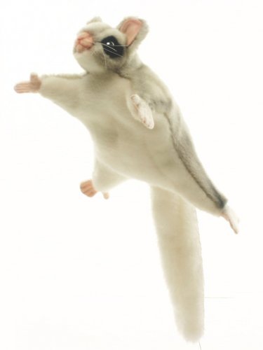 Soft Toy Sugar Glider by Hansa (22cm) 4692