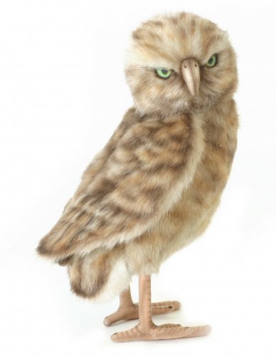 Soft Toy Bird of Prey, Burrowing Owl by Hansa (28cm) 5203