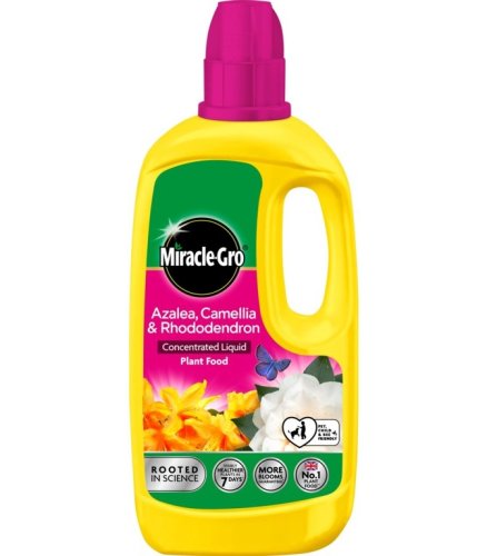 Miracle-Gro Ericaceous Liquid Plant Food - 800ml